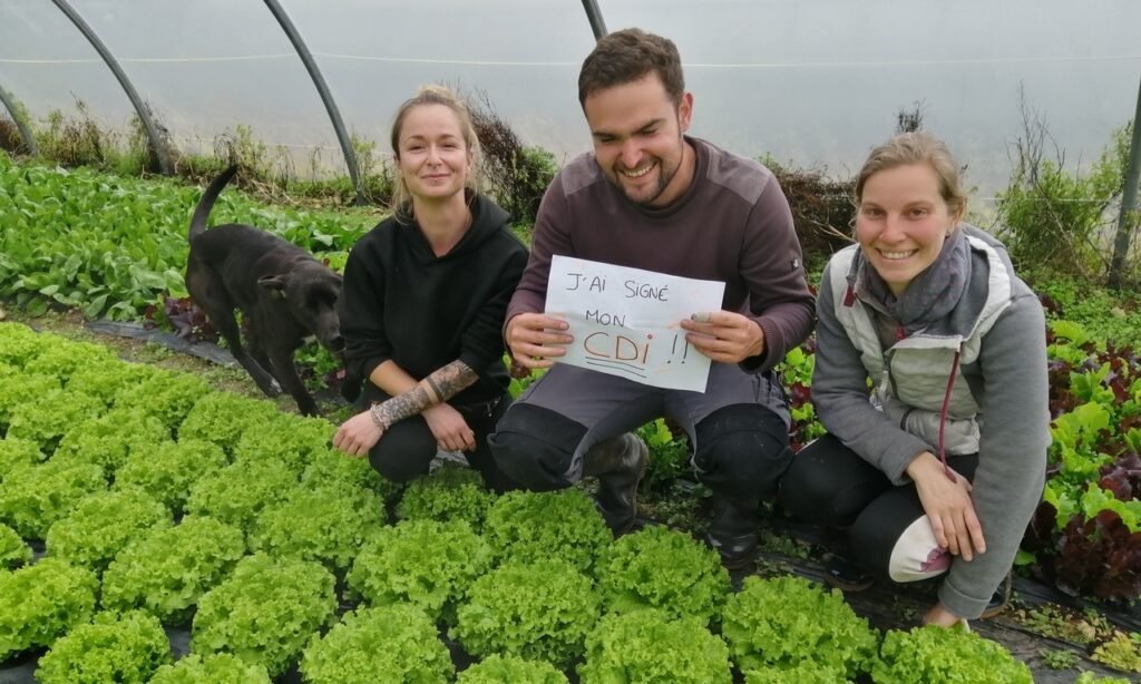 Mathias rejoint l'équipe des Légumes du Logis en signant son tout premier CDI !