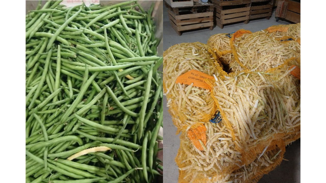 Haricots par Les Légumes du Logis