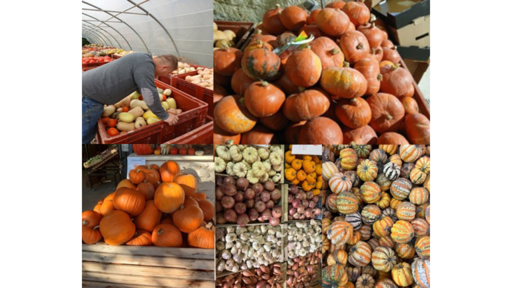 Janvier 2026 Légumes du Logis