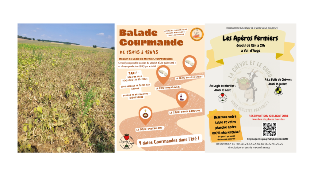 été 2026 aux Légumes du Logis
